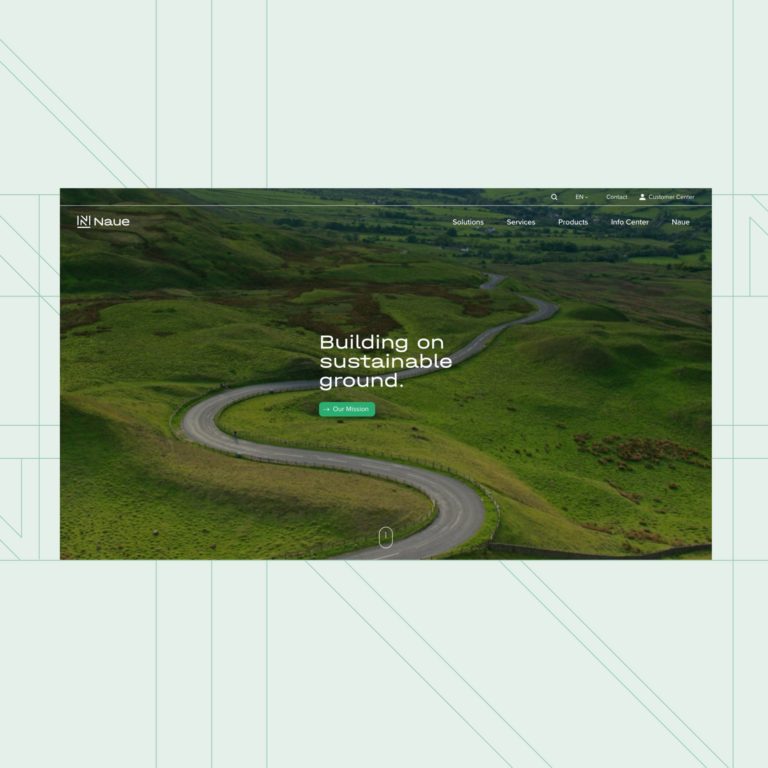 Naue Website