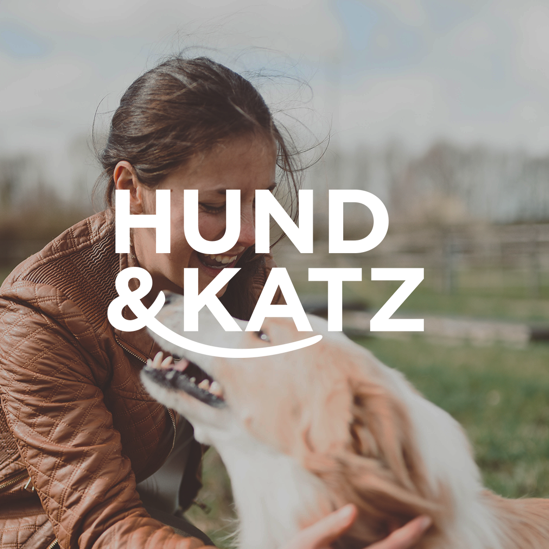 Dog and cat campaign