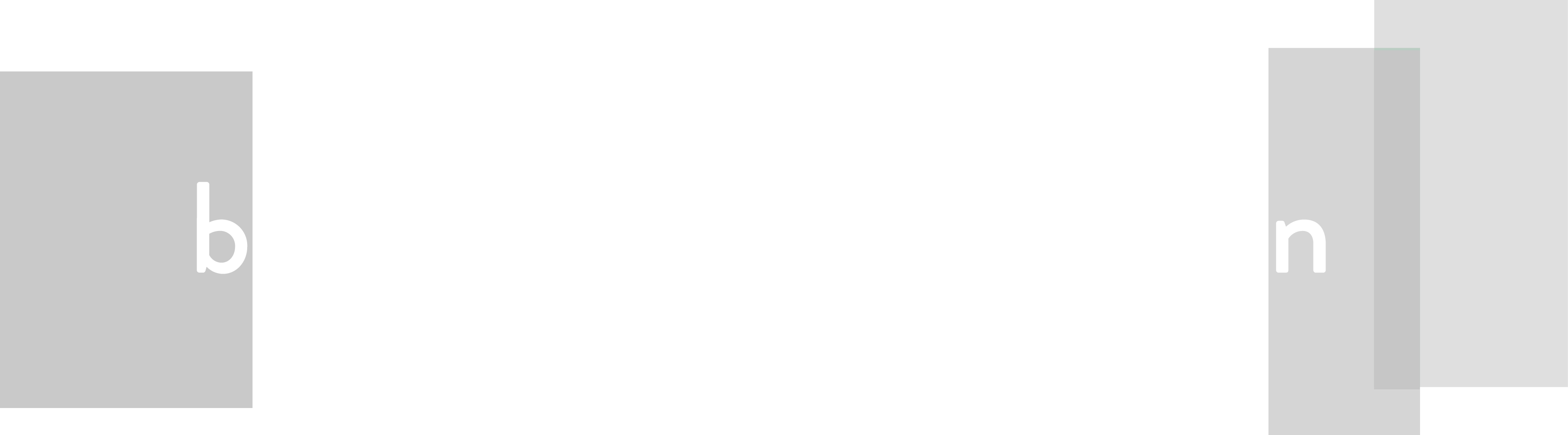 Brew Reiter & Colleagues Logo