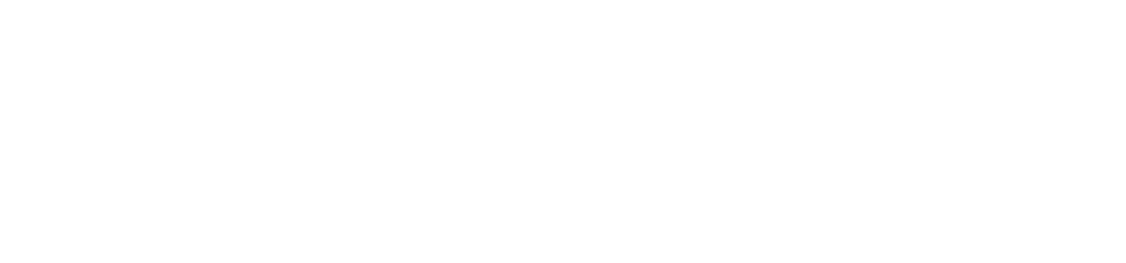 Naue Logo