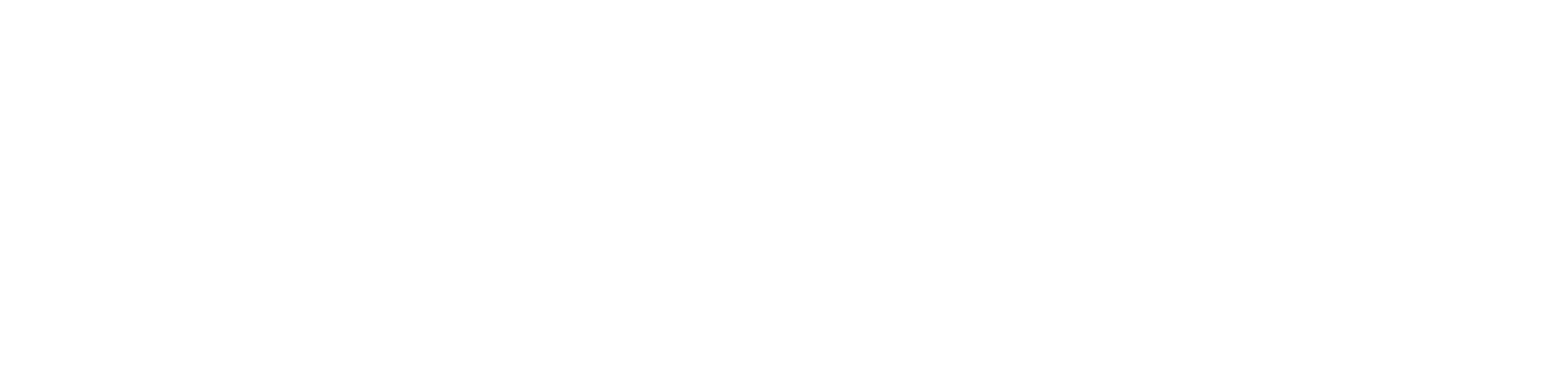 Naue Logo