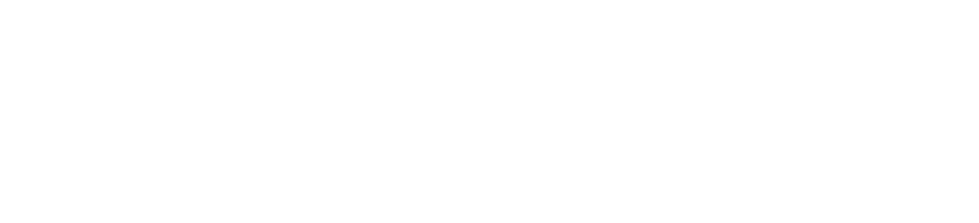 Erlingsson Nature Travel Logo